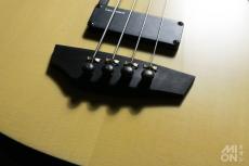 Godin A4 Ultra Fretless SA 2014_5