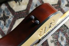 Godin A4 Ultra Fretless SA 2014_9
