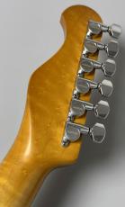 Provision 【決算セール】PDST2025SM Relic ALD/Brazilian Rosewood 3TS 【ハカランダ指板】【1本限定製作品】_11