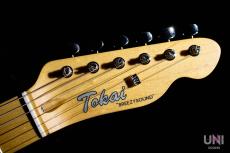 Tokai Vintage Series ATE106B/M 2TB_8