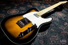 Tokai Vintage Series ATE106B/M 2TB_11