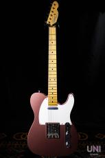 Tokai Vintage SeriesATE/M BGM_2