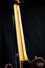 Tokai Vintage SeriesATE/M BGM_5