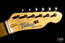 Tokai Vintage SeriesATE/M BGM_6