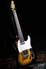 Tokai Vintage Series ATE-2 GS/R_5