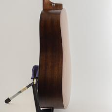 Martin D-10E Retro_5