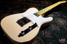 Tokai Vintage Series ATE/M SLP_11
