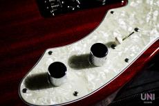 FREEDOM CUSTOM GUITAR RESEARCH Red Pepper_7