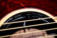 Gibson J-185 Rose Vine / 2013_5