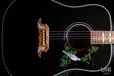 Gibson Limited Edition Dove Trans Ebony / 2016_2