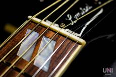 Gibson Limited Edition Dove Trans Ebony / 2016_4