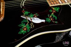 Gibson Limited Edition Dove Trans Ebony / 2016_5