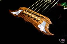 Gibson Limited Edition Dove Trans Ebony / 2016_6