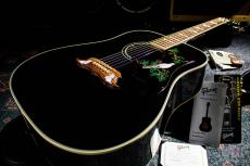 Gibson Limited Edition Dove Trans Ebony / 2016_9