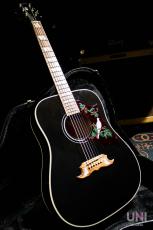 Gibson Limited Edition Dove Trans Ebony / 2016_10