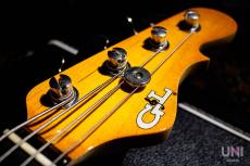 G&L USA L-2000 Custom / 2016_4
