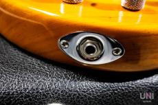 G&L USA L-2000 Custom / 2016_8