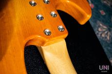 G&L USA L-2000 Custom / 2016_9