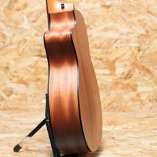 Taylor 114ce_5