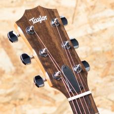 Taylor 114ce_8