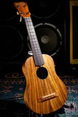MAUI MUSIC CK Concert