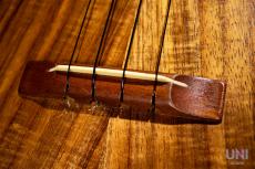 MAUI MUSIC CK Concert_5