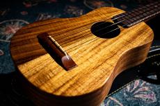 MAUI MUSIC CK Concert_9