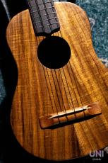 MAUI MUSIC CK Concert_10