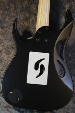 Ibanez PIA3761 "Paradise in Art" Onyx Black【STEVE VAI Signature】【人気モデル待望入荷】【3.64kg】_8