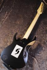 Ibanez PIA3761 "Paradise in Art" Onyx Black【STEVE VAI Signature】【人気モデル待望入荷】【3.64kg】_11