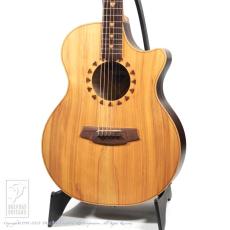 Cole Clark AN2AC【セール開催中!24回無金利対象品】