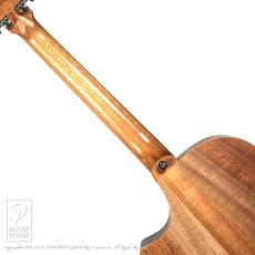 Cole Clark AN2AC【セール開催中!24回無金利対象品】_6