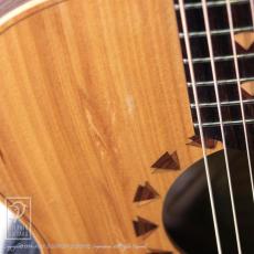 Cole Clark AN2AC【セール開催中!24回無金利対象品】_11