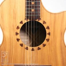 Cole Clark AN2AC【セール開催中!24回無金利対象品】_14