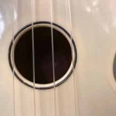 Islander Plastic-Soprano_2