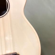 Islander Plastic-Soprano_3