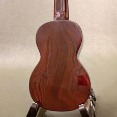 Islander Plastic-Soprano_5