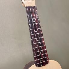 Islander Plastic-Soprano_7