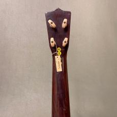 Islander Plastic-Soprano_8