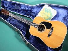Martin D-35