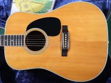 Martin D-35_2