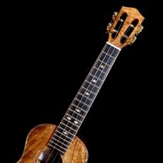 KOU ukulele Concert LN A model - Premium Curly koa -_10