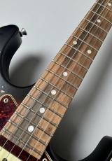 Provision 【決算セール】PDST2025SM Relic ALD/Brazilian Rosewood 3TS 【ハカランダ指板】【1本限定製作品】_5
