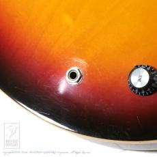 Gibson ES-335 Traditional_13