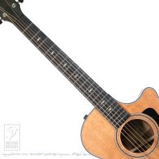 Taylor 312ce_5
