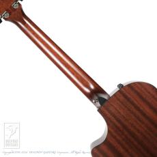 Taylor 312ce_6