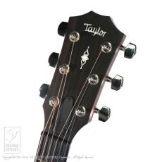 Taylor 312ce_7