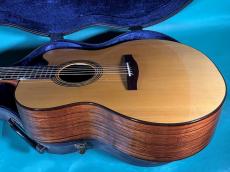 LLOYD BUGGS FOR JACKSON BROWN (NOT FOR SALE)_4