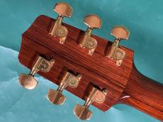 LLOYD BUGGS FOR JACKSON BROWN (NOT FOR SALE)_6