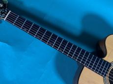 LLOYD BUGGS FOR JACKSON BROWN (NOT FOR SALE)_7